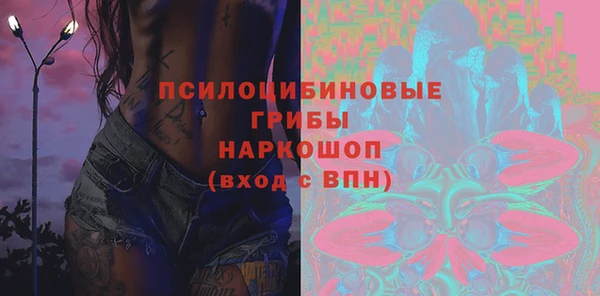 гашик Арсеньев