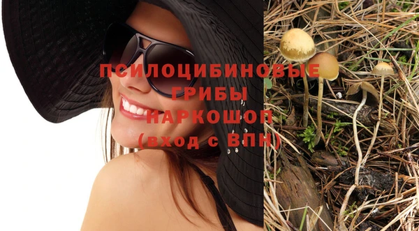 jwh Гусиноозёрск