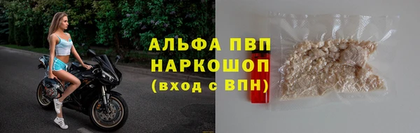 дживик Инта