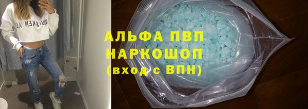 сатива Армянск