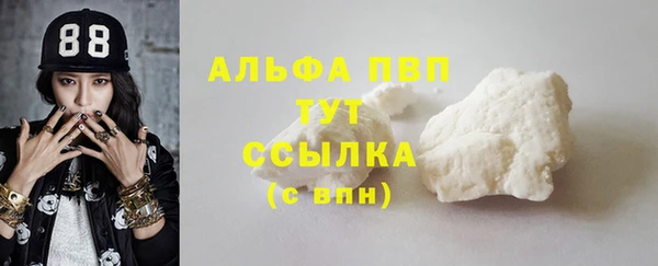 гашик Арсеньев