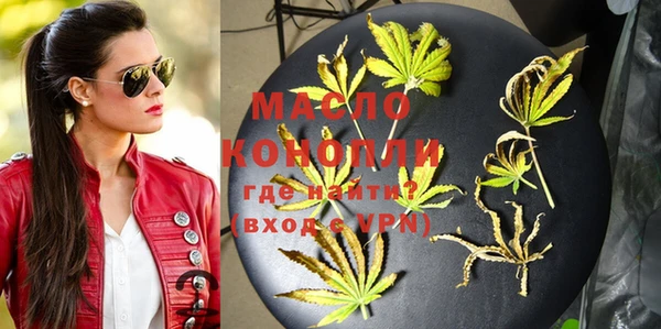 гашик Арсеньев