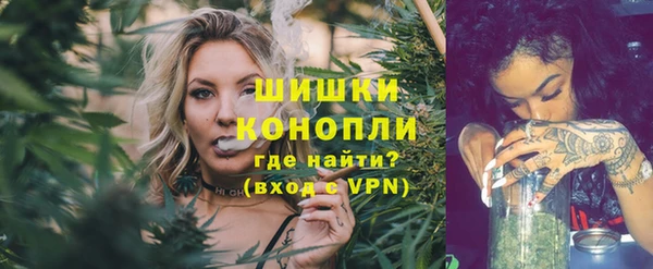 гашик Арсеньев