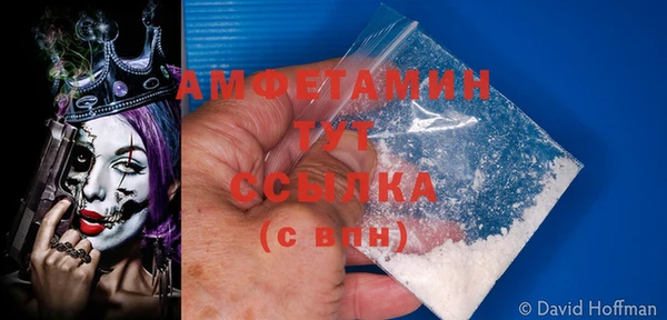 гашик Арсеньев
