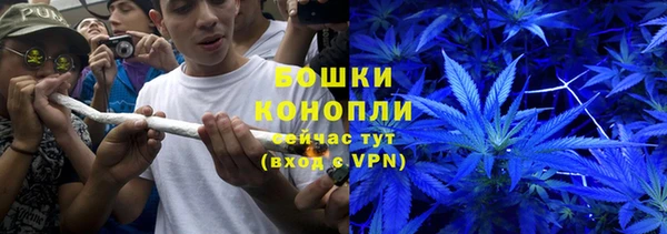 сатива Армянск