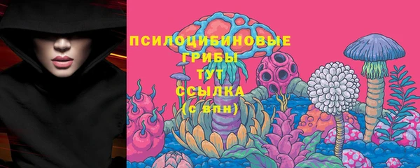 гашик Арсеньев