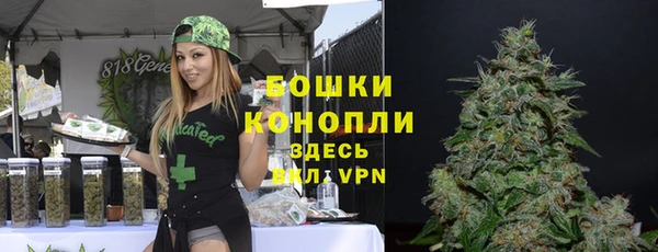 сатива Армянск
