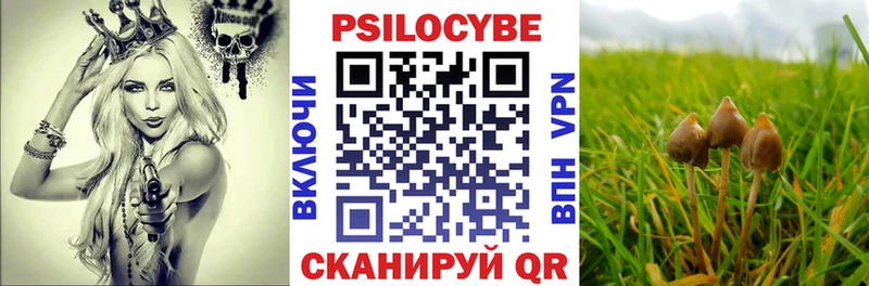 Псилоцибиновые грибы мухоморы  MEGA как войти  Бабушкин 